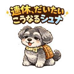 My Long Weekend, Schnauzer