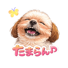 YURU-ANI_20260329203118