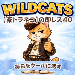 WILDCATS 茶虎貓快速回覆貼圖40