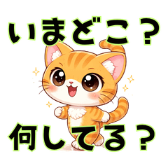 What r u doing? Kitten