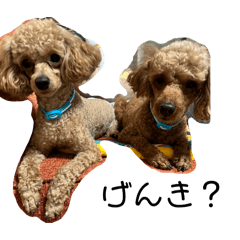 nontan_20260329214152