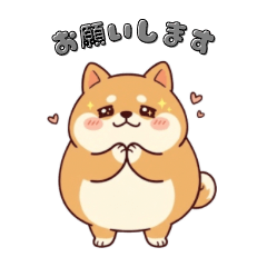 Chubby Shiba Inu Polite Phrases