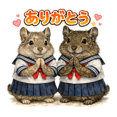 Degu sisters Milk & Cocoa