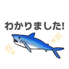 tonpi_20260330071009