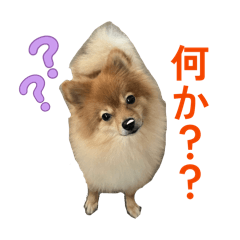 kuuuuu_20260330072006