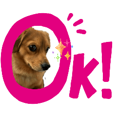 tana-p_20260330031338