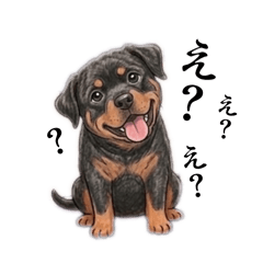 CHIIII_20260330101727