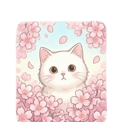 Fluffy White Cat & Cherry Blossoms