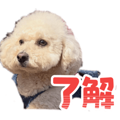 nyakki_20260330131857