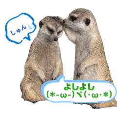 xxRyuxx_20260330132533