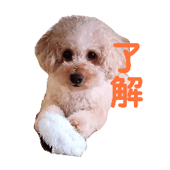 Dwarf_20260327104439