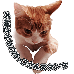 Sticker of Daisuke's Cat (Vol.1