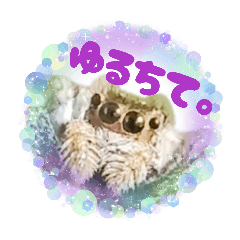 wanihikokko_20260330010010