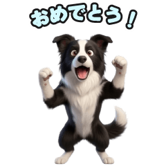 118 Border Collie LINE Stickers