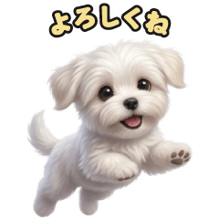 120 Maltese LINE stickers
