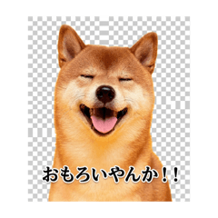 Shiba Inu Stamp Set #1