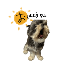 mozuku_20260329232458