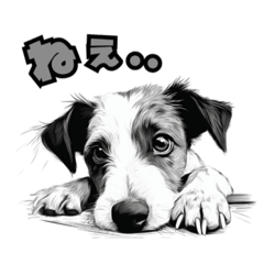 JACKWANS_20260329232657