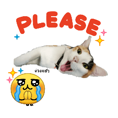 filmapisit_20260330114425