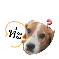 Milkshake and Blueberry_20260330115013