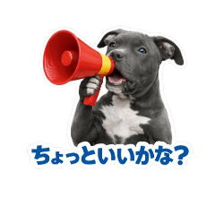 paw and soul_20260329231820