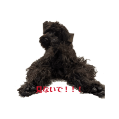 YUKIKO_20260330150016