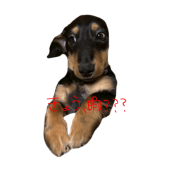 00056562525_20260330145811