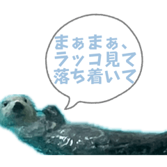 hideaya_20260330150141