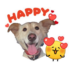 arashi_20260327132430