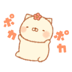 Shiratamanekko  spring