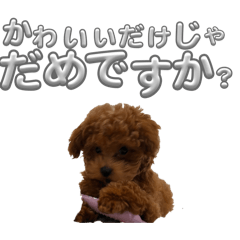 kotatu_20260330034710