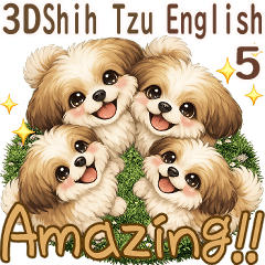 3D Shih Tzu 5 (English)