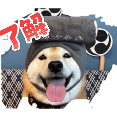 noriyuki_20260330053508