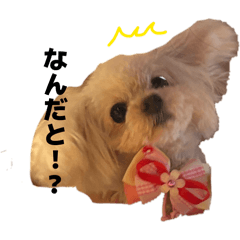 Mr.Sanso_20260330145733