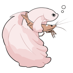 Betta-san Sticker-white
