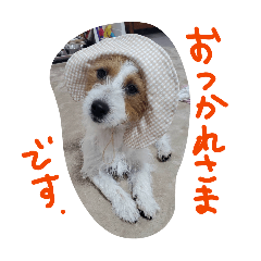 Myuuua_20260327112309