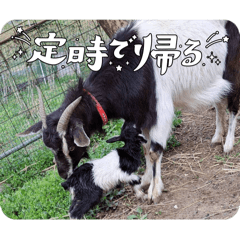 Haruna_20260326184901