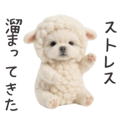 愛の圧力強めの着ぐるみマルチーズ