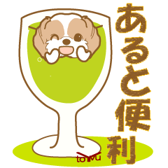 WANKOBIYORI(Shih Tzu)3
