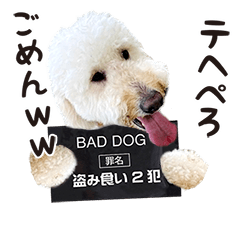 Wachawacha family type 2