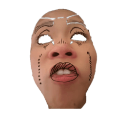 Animals_20260327120229