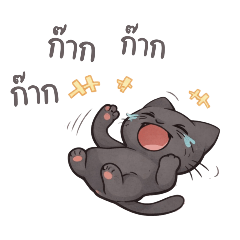 Chaotic Cat: Life is a Headache!