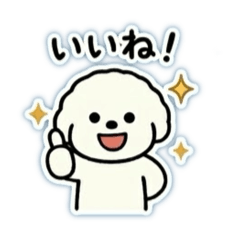 Fluffy Bichon Funny Daily Stickers