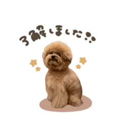 uchinoko_honpo._20260330121111