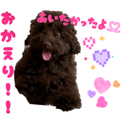 Yukina_20260330121311