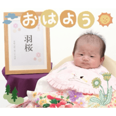 POTETO_20260330121103