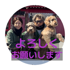 perseus_20260330124352