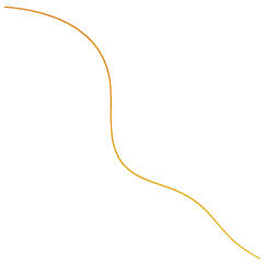 撥不掉螢幕上的頭髮★染髮版
