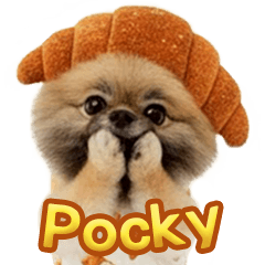 Pocky啵啵的派派日常