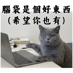 快樂的貓咪貼圖